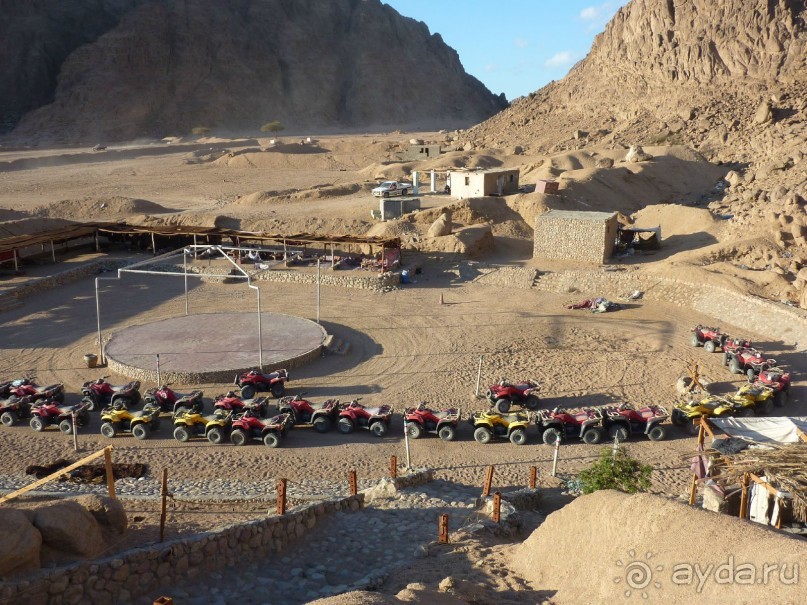 если присмотреться, можно увидеть мертвого верблюда