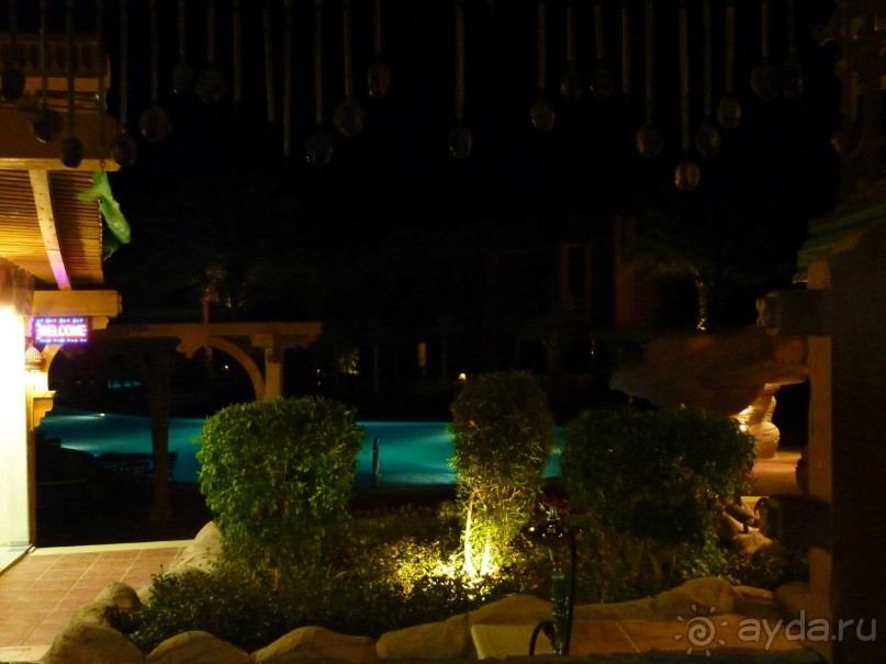 вид на бассейн