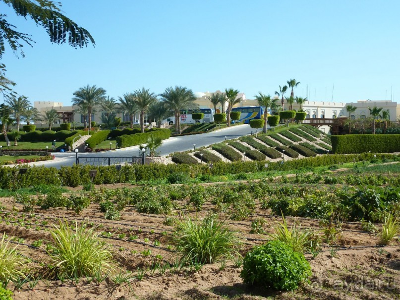 вид на Sea Club