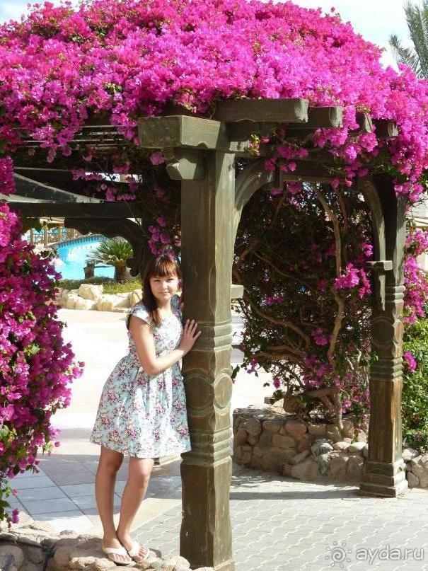 "Волшебный" алкоголь