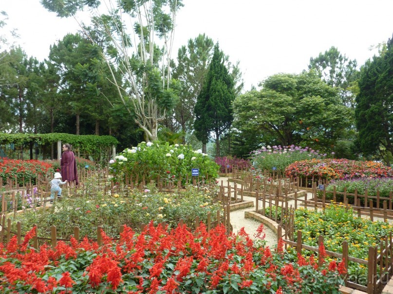 фото Sunny Beach Resort