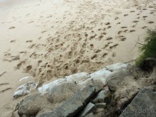 фото Sunny Beach Resort