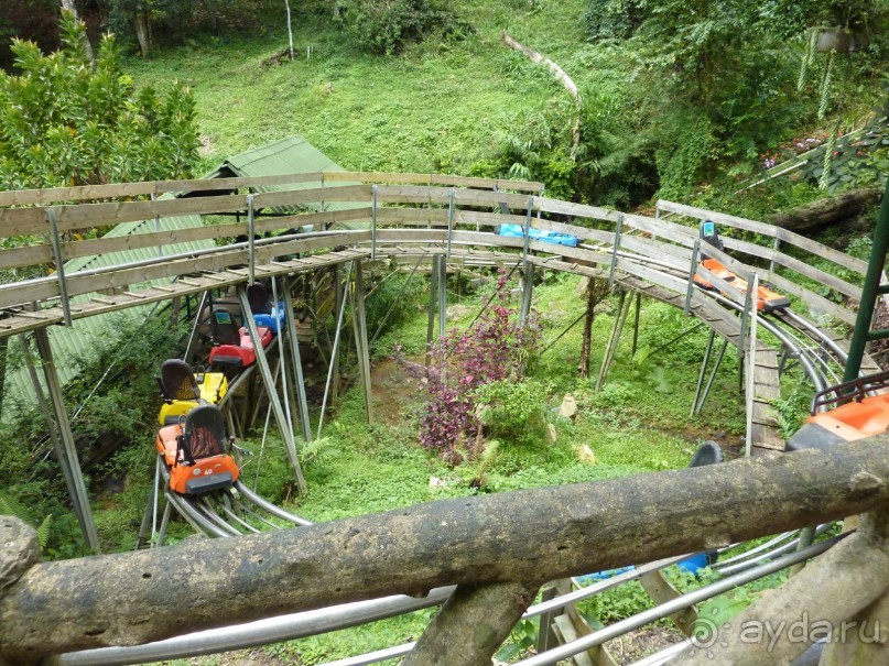 фото Sunny Beach Resort