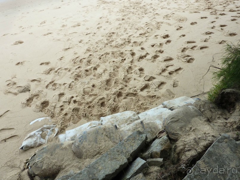 спуск к морю