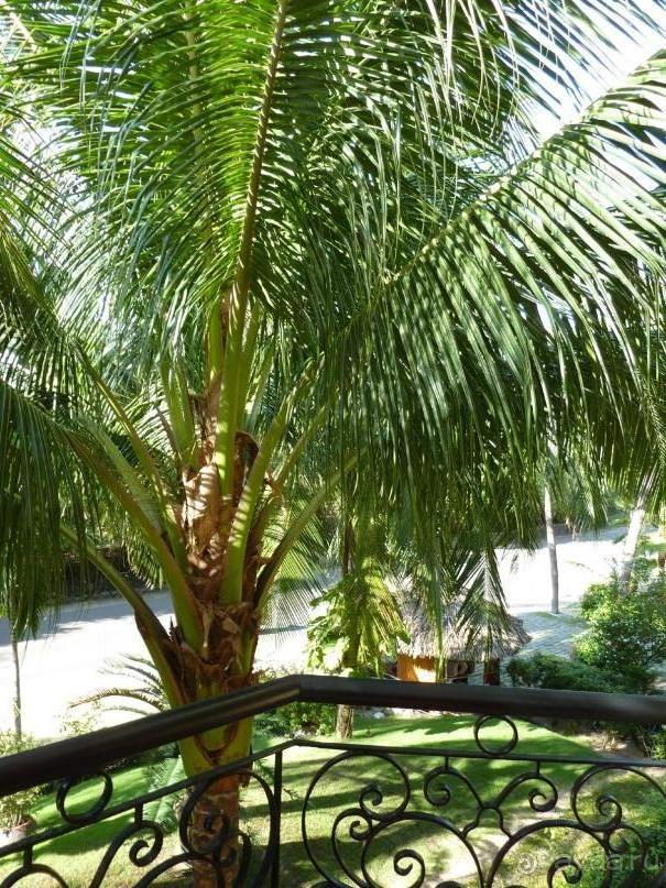 вид с балкона