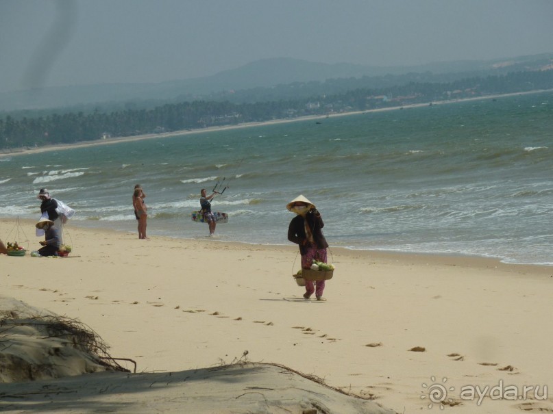 продают фрукты и коктейли из кокоса