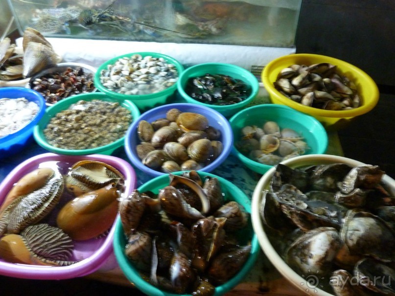 Бо Ке тазики с шевелящимися гадами