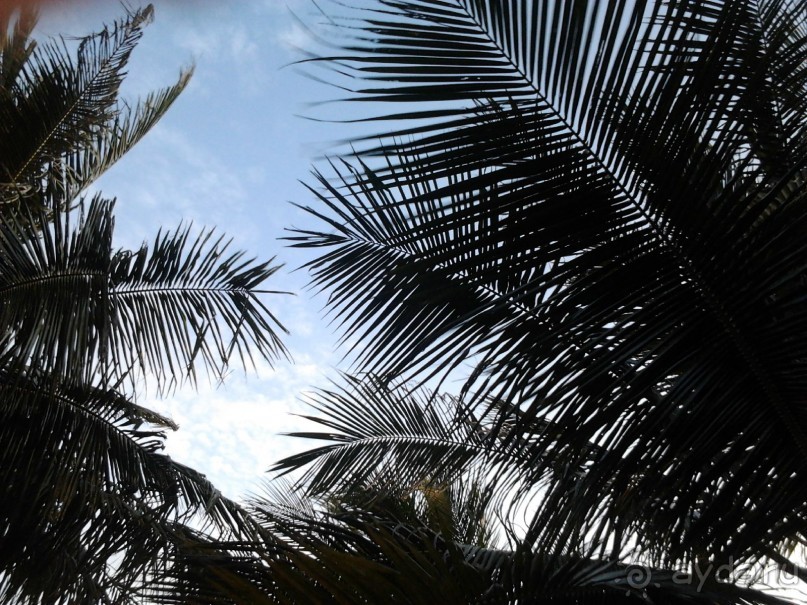 Отличный отдых! Всё понравилось :)