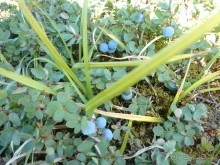 Любителям глухих нетронутых уголков нашей страны