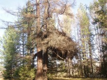 Любителям глухих нетронутых уголков нашей страны