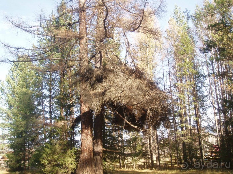 Любителям глухих нетронутых уголков нашей страны