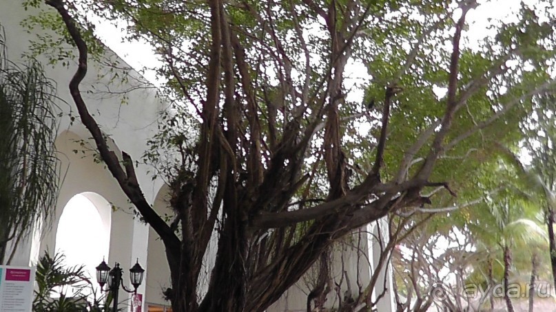 Отель неплохой, если вы едете туда НЕ купаться в карибском море :)