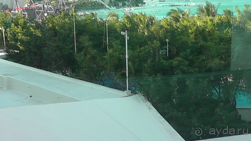 фото Панорама