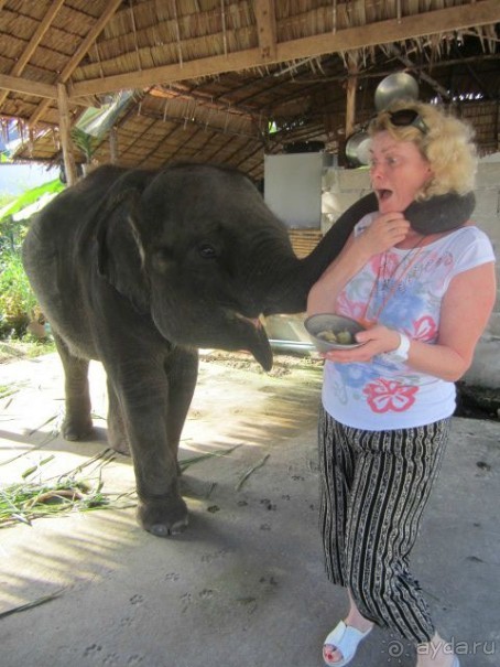 Отличный отепь!