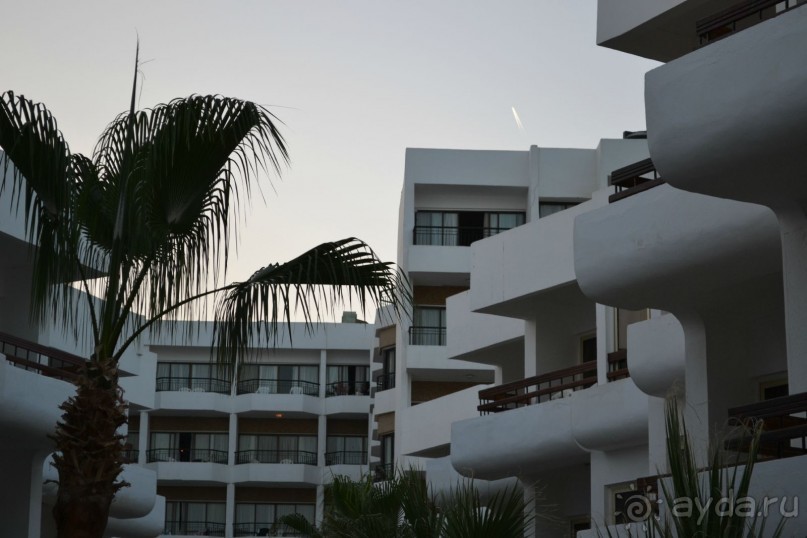 фото Marlin Inn Azur Resort 