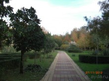 Дорожка к пансионату  "Дельфин"