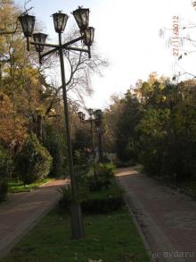 В парке  "Известий"