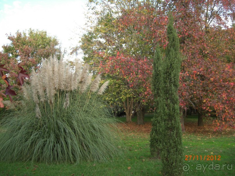 В парке Курортного городка