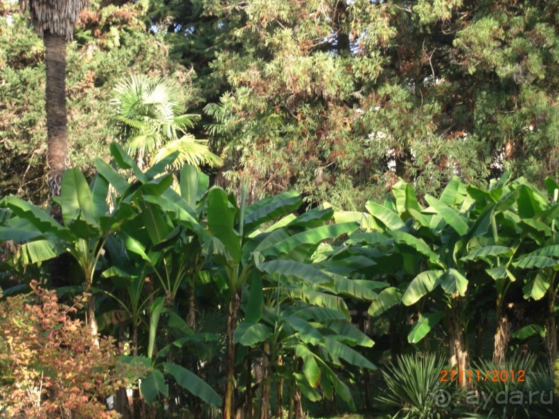 В парке санатория