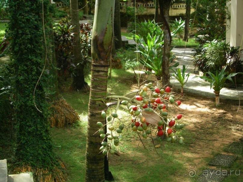фото L'Azure Resort and Spa