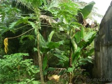 фото L'Azure Resort and Spa