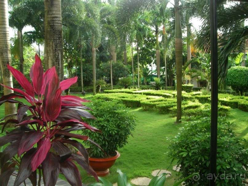 фото L'Azure Resort and Spa