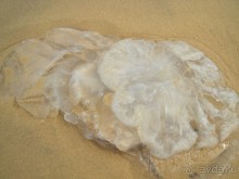 фото L'Azure Resort and Spa