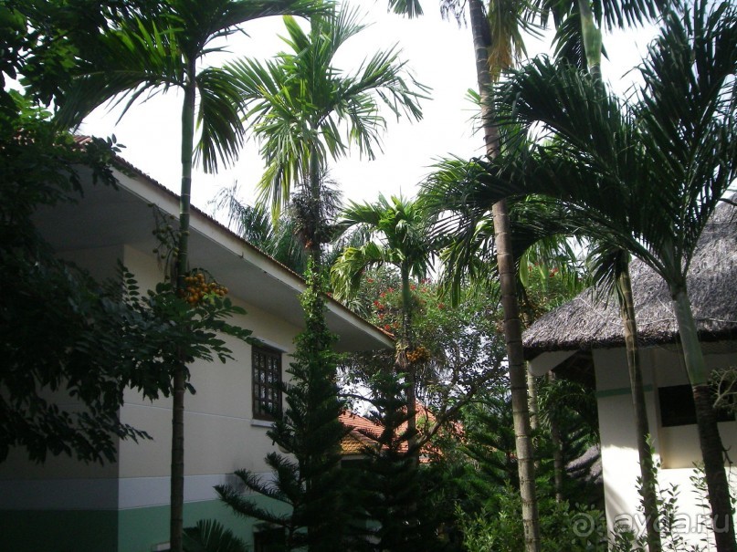 фото L'Azure Resort and Spa