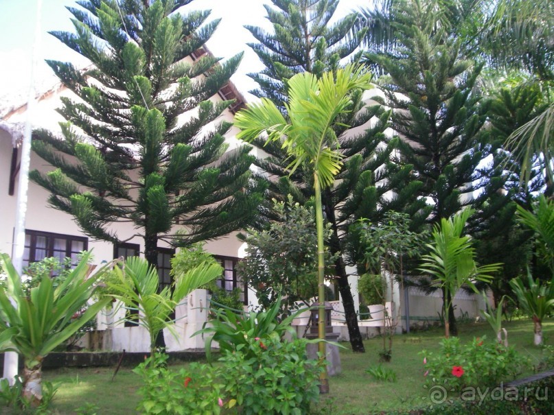 фото L'Azure Resort and Spa