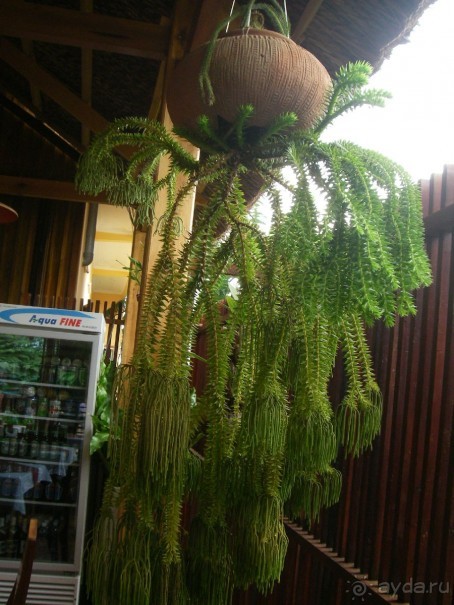 Классный отдых