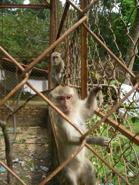 Классный отдых