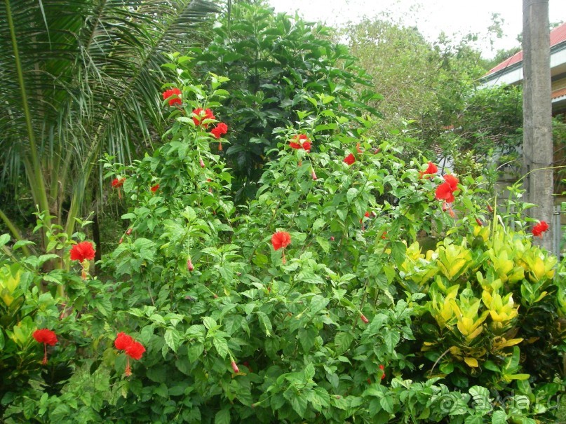 Классный отдых