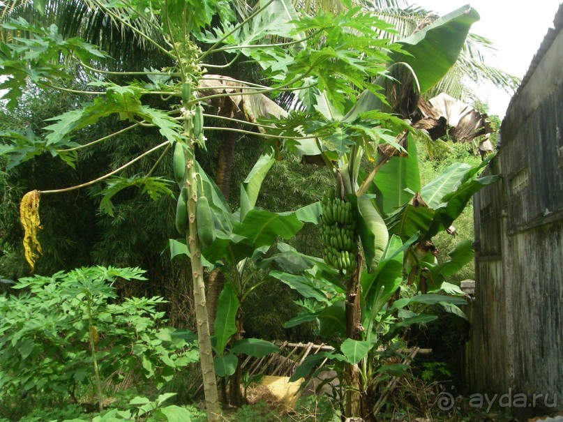 Классный отдых