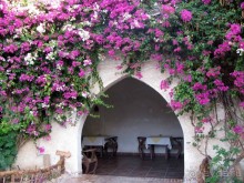 Восточная сказка