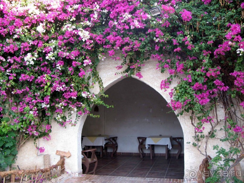 Восточная сказка