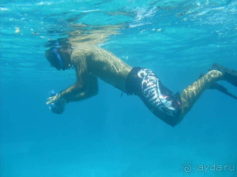 Рекомендую