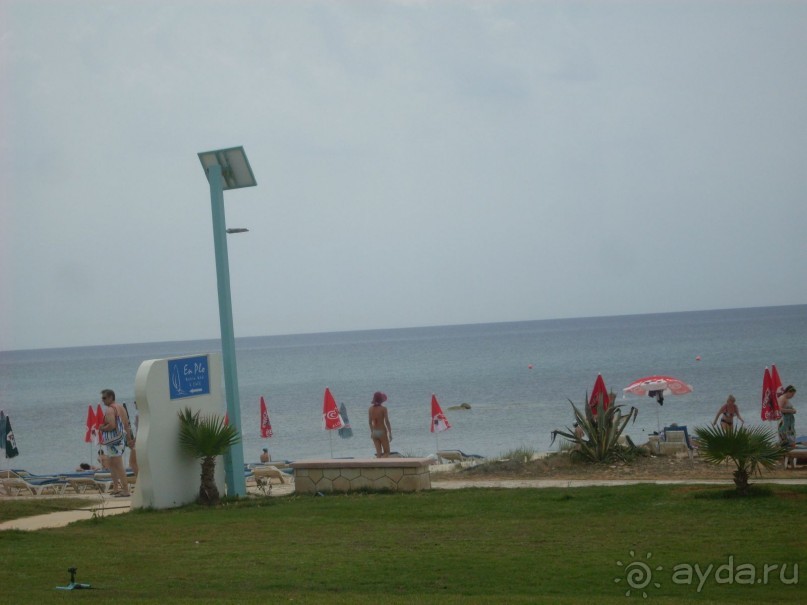 Рекомендую