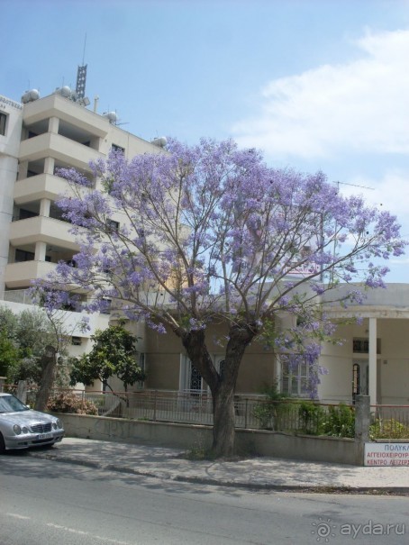 Рекомендую