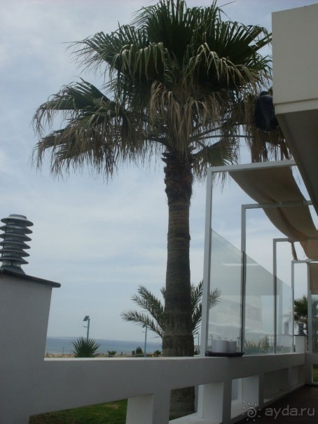 Рекомендую