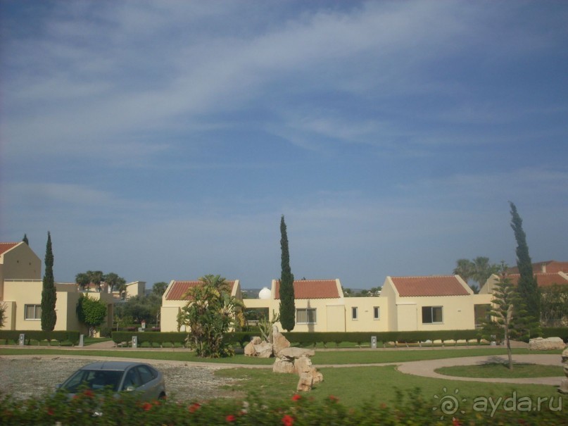 Рекомендую