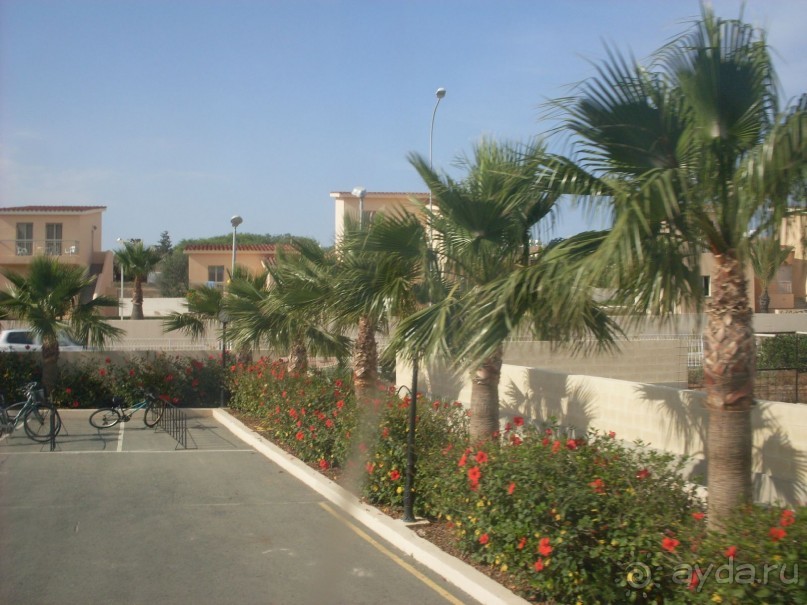 Рекомендую