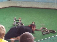 В целом не всё так плохо, бывает и хуже)