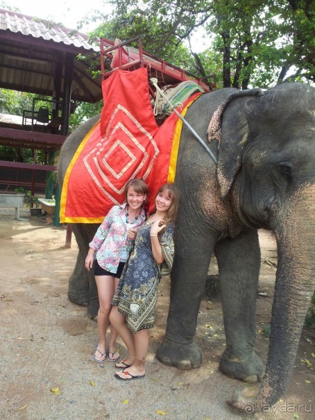 В целом не всё так плохо, бывает и хуже)