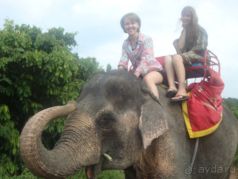 В целом не всё так плохо, бывает и хуже)
