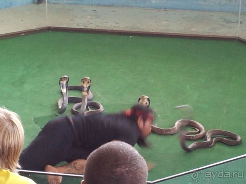 В целом не всё так плохо, бывает и хуже)