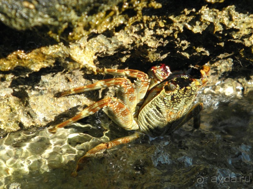 Неоднозначно...