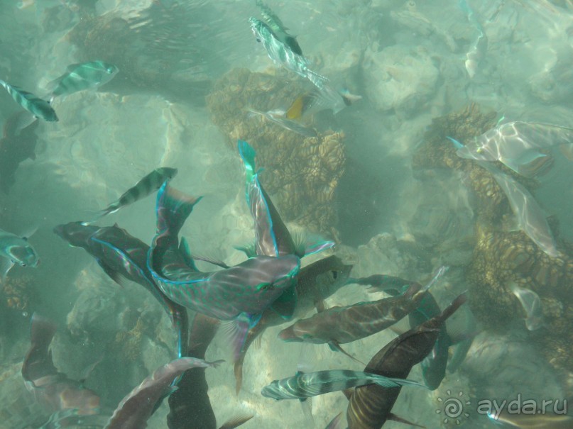 Неоднозначно...