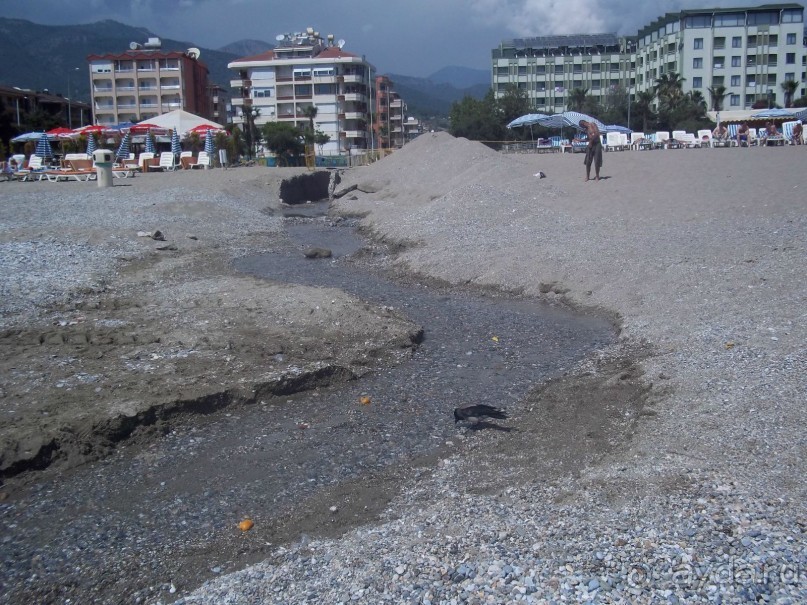 все понравилось