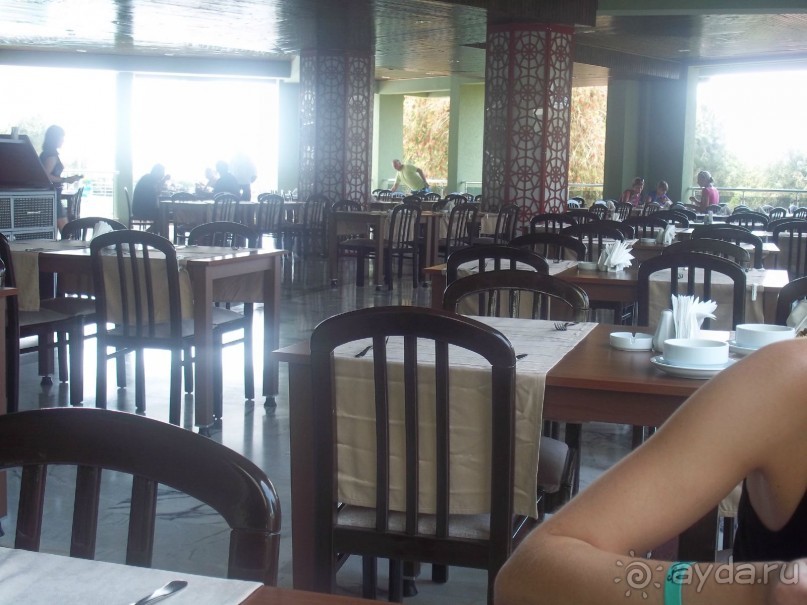 все понравилось