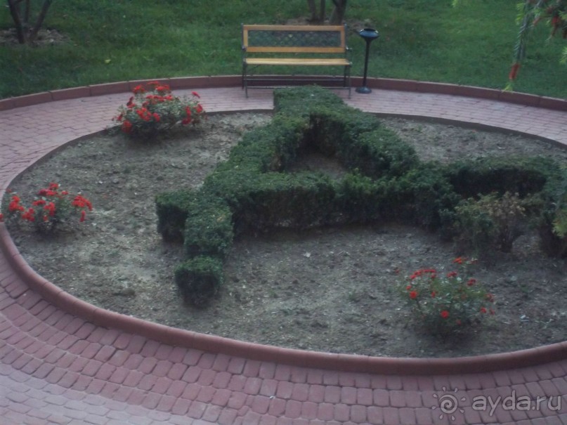 все понравилось